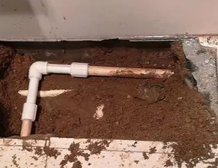 酉阳测漏水哪家好