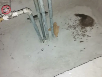 酉阳卫生间测漏水价格明细