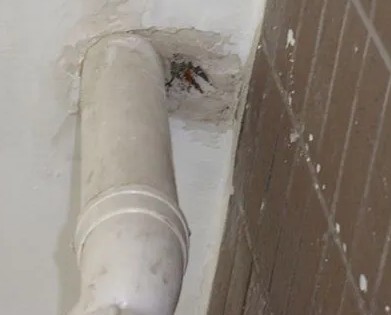 酉阳漏水检测哪家好